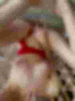 Майя главное фото