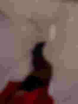 Диана фото 3