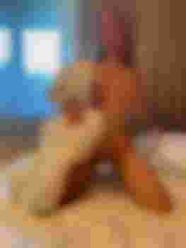 Дарья фото 3