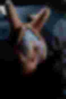 ЛЕЙЛА фото 6