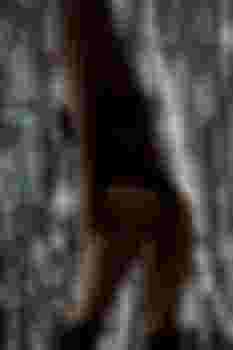 Стелла главное фото