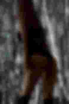 Стелла главное фото