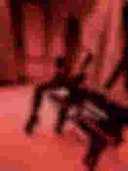 ГОСПОЖА ЕЛИЗАВЕТА главное фото