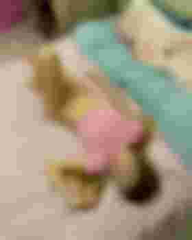 Вероника фото 4