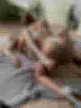 Развратницы главное фото