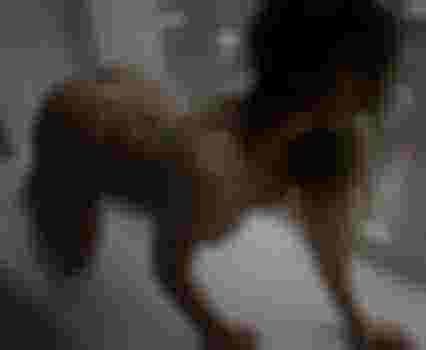 Кристина фото 2