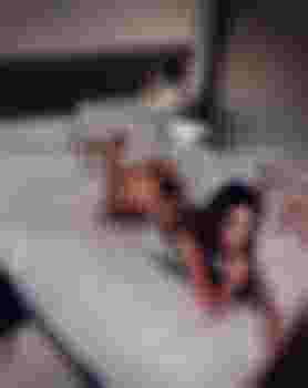 Кристал фото 2