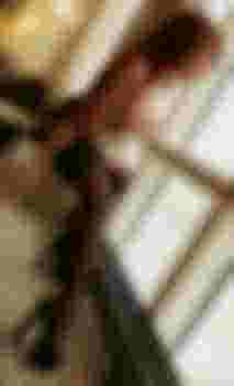 Лизочка фото 4