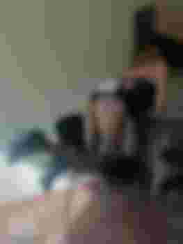 Сильва фото 3