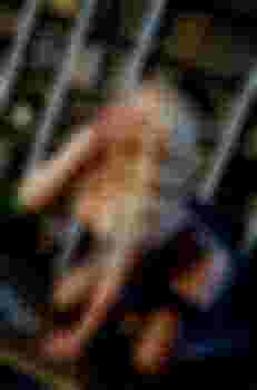 Шалунья фото 2