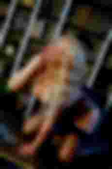 Шалунья фото 2