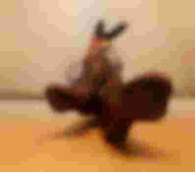 людмила фото 2