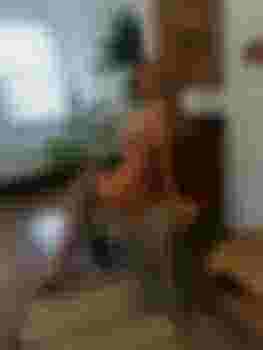 Ванесса главное фото