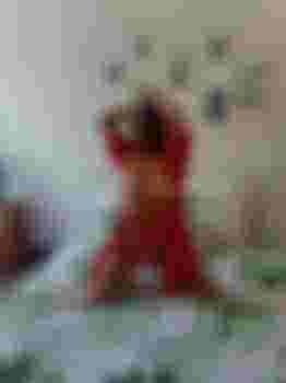 Василиса фото 4