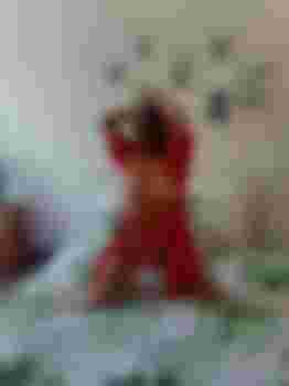 Василиса фото 4