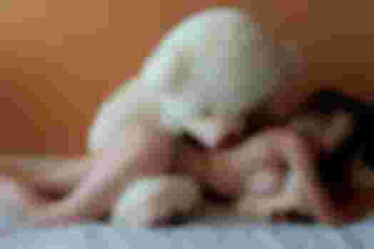 Маша VIP фото 2