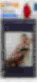 Алёнка главное фото