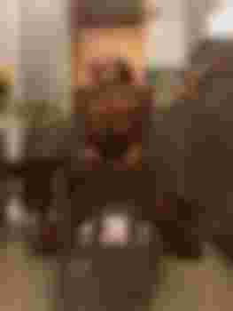 АЛИАНА главное фото