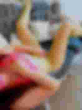 Вероничка АНАЛ фото 11