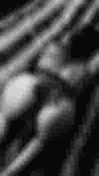 Каролина фото 2