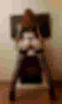 ЛЕСЯ главное фото