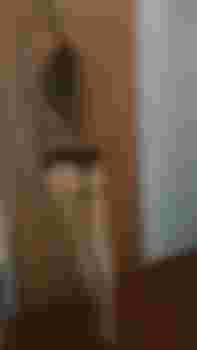 Ксюша фото 2