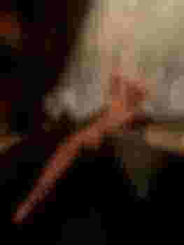 Настя! фото 5