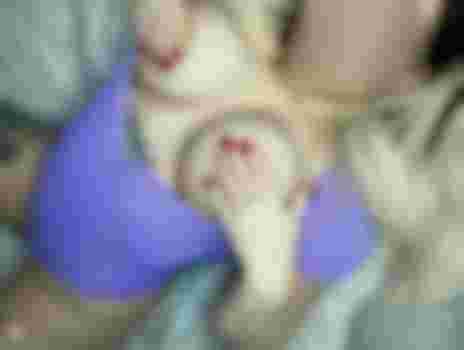 ВЛАДА фото 3