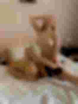 Лиза и Настя фото 2