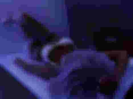 Алёна фото 10