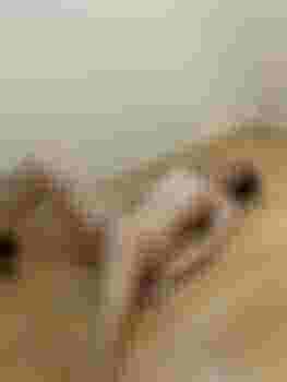 Олеся фото 2