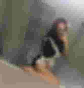 Альбина главное фото