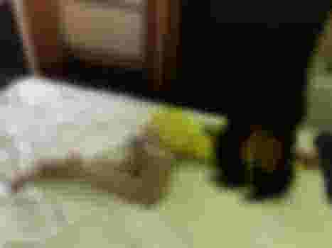 София/Агата фото 8