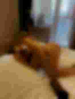 Вероника и Лиля видео фото 4