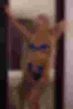 Оленька главное фото