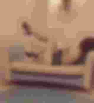 Стелла фото 2