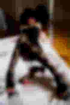 ГОСПОЖА ЛИЛИТ фото 2