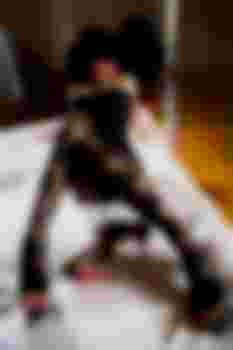 ГОСПОЖА ЛИЛИТ фото 2