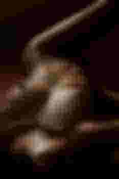 Натали С/З главное фото