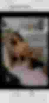 Кира главное фото