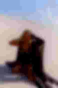 Вера фото 10