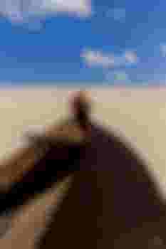 Вера фото 13