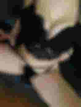 Виолетта главное фото