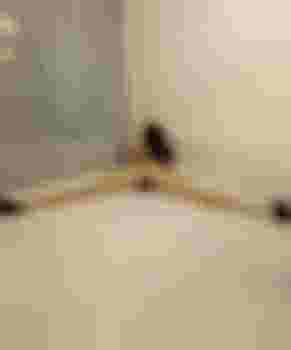 Дилара фото 6