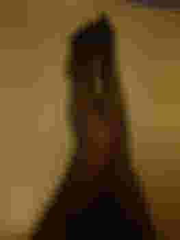 Алиса фото 2