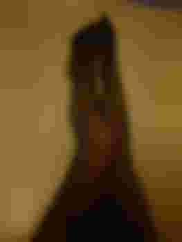 Алиса фото 2