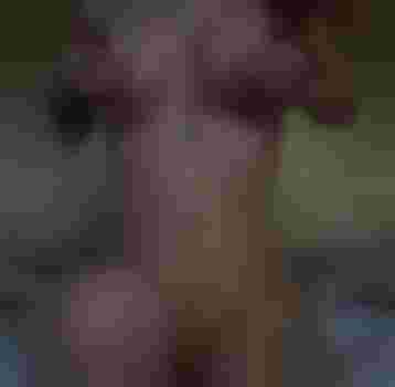 Полина главное фото