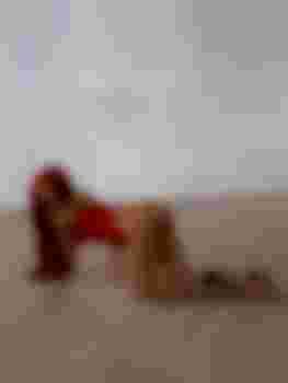 ПОЛИНА фото 10