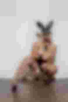 Асенька фото 8