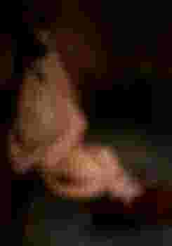 Елизавета VIP фото 5